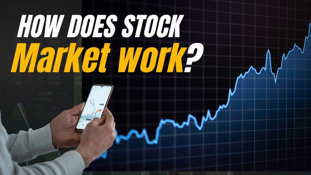 How does the stock market work?
